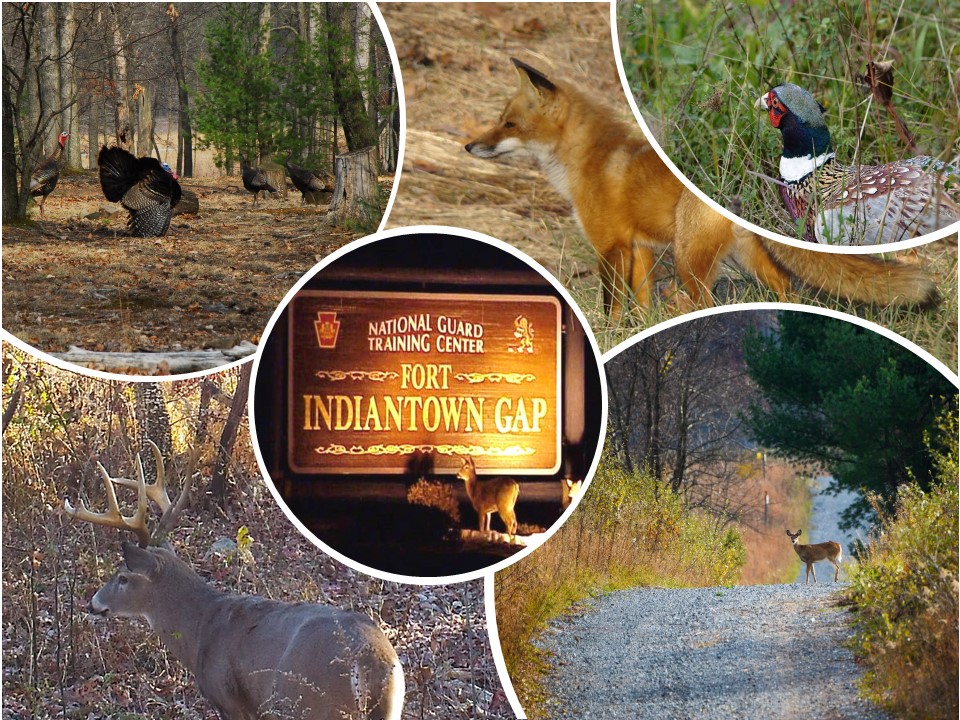 Home Fort Indiantown Gap iSportsman